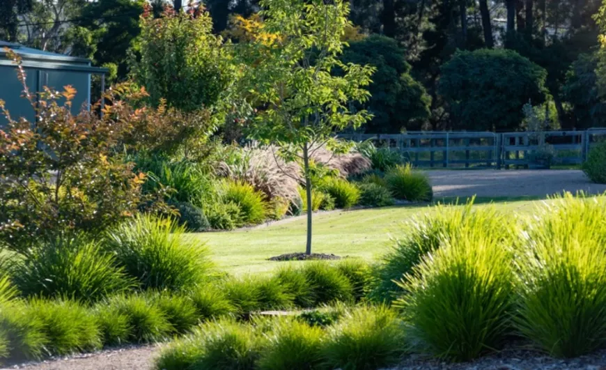 The 10 Most Common Landscaping Questions: Ideas and Solutions for Your Garden Project