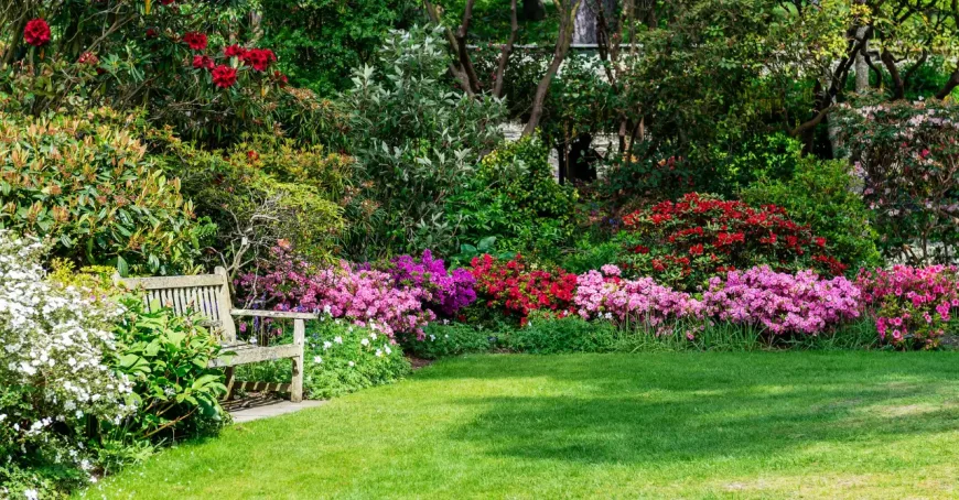 What Are the Latest Landscaping Trends in the Mornington Peninsula?