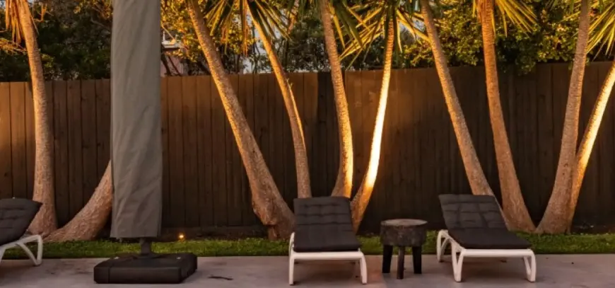 What Are the Latest Landscaping Trends in the Mornington Peninsula?