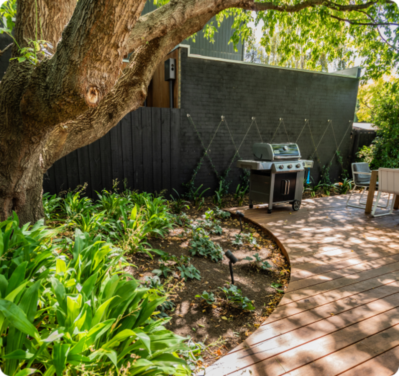 Mature elm canopy over the curved timber deck and planting bed in Sandringham