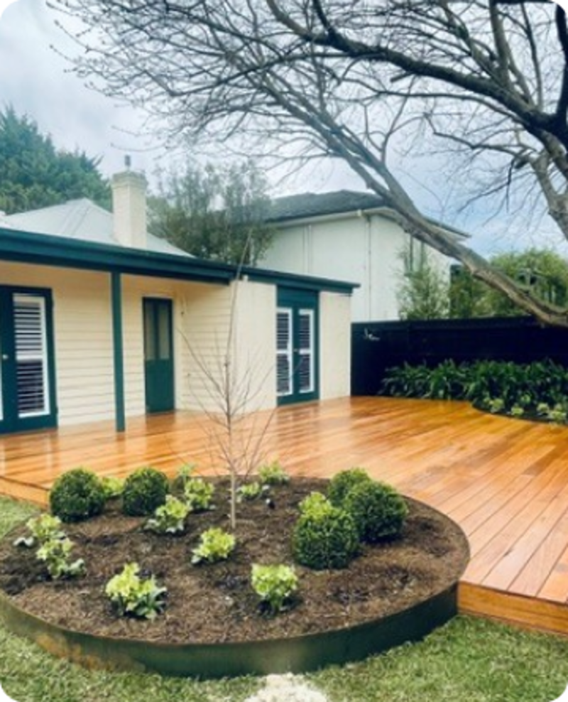 Timber deck with curved garden bed beneath the canopy of a mature elm in Sandringham