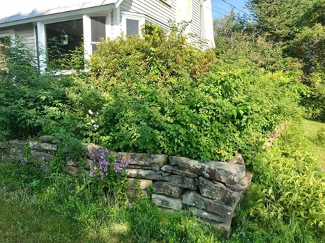 Replace-plants-that-are-overgrown-or-arent-thriving